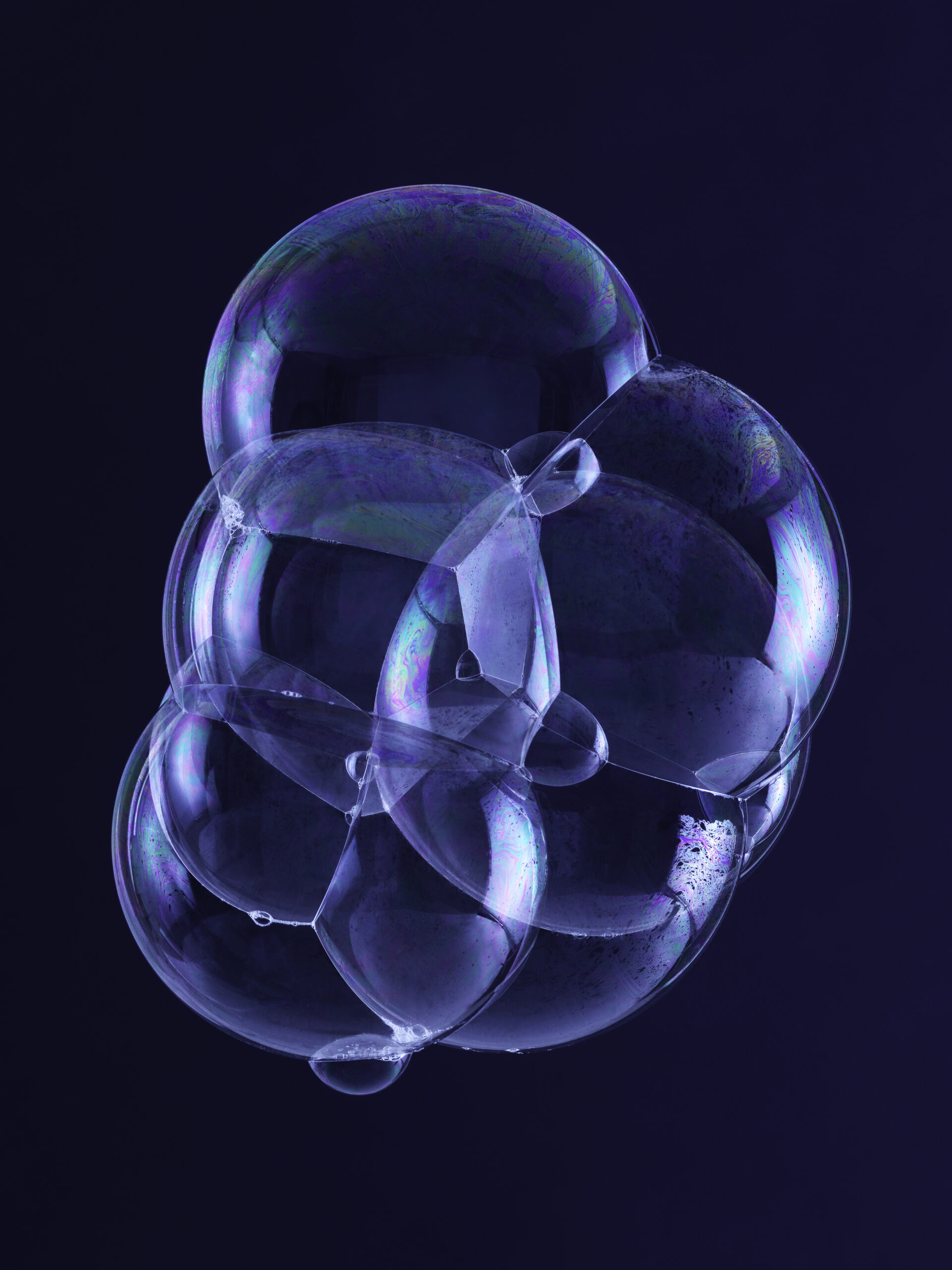 Bubble_web-scaled-1